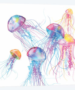 Jellyfish