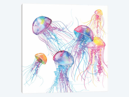 Jellyfish