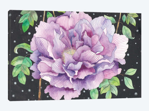 Midnight Bloom