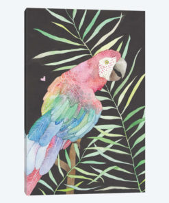 Parrot