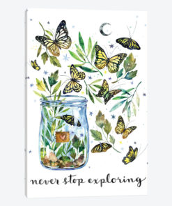 Never Stop Exploring