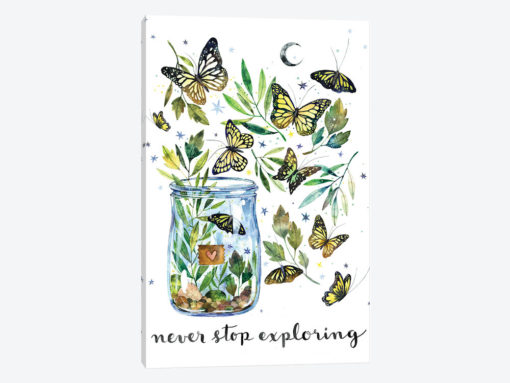 Never Stop Exploring