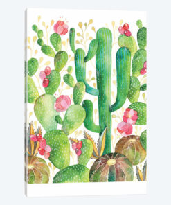 Cacti
