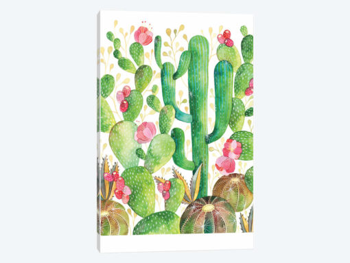 Cacti