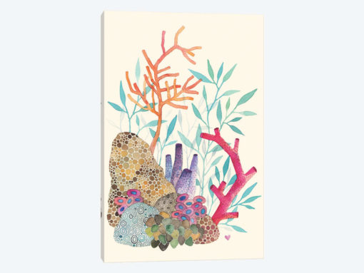 Coral Reef