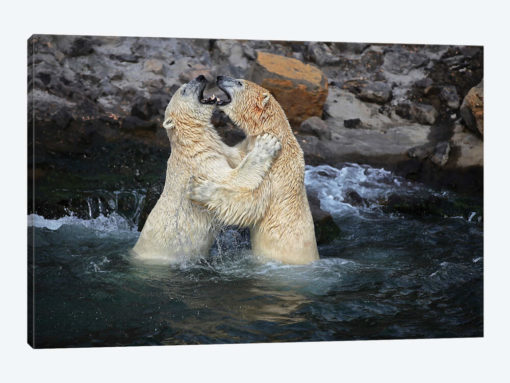Lovers