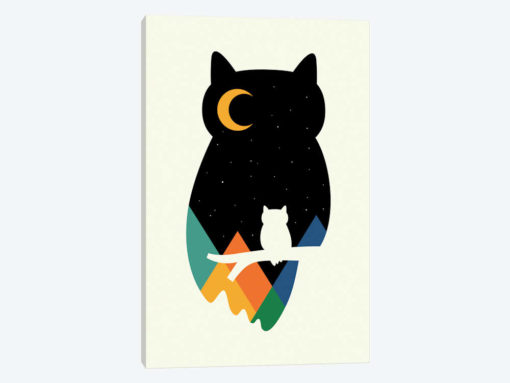 Eye On Owl