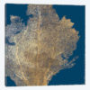 Gold Coral I