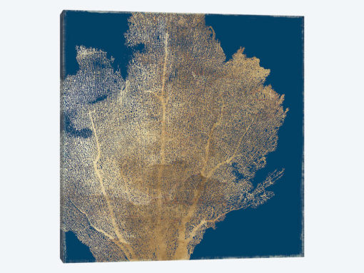 Gold Coral I