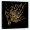 Gold Coral II