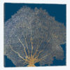 Gold Coral III
