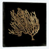 Gold Coral IV