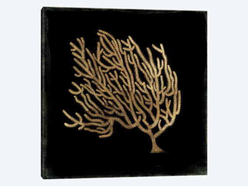 Gold Coral IV