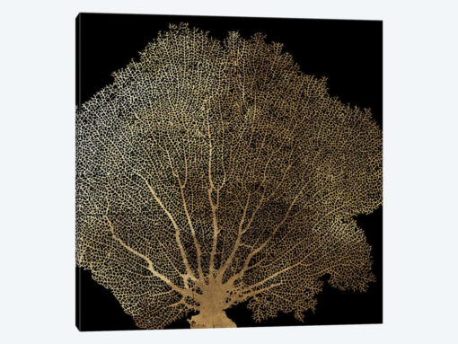 Honeycomb Coral II