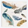 La Plume II