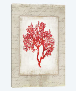 Red Coral III