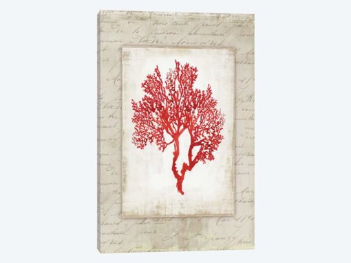 Red Coral III