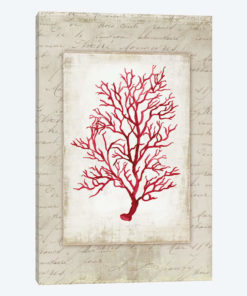 Red Coral V