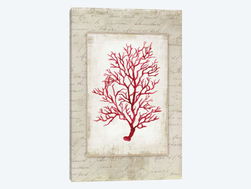 Red Coral V