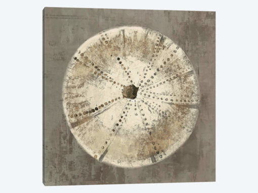 Sand Dollar I