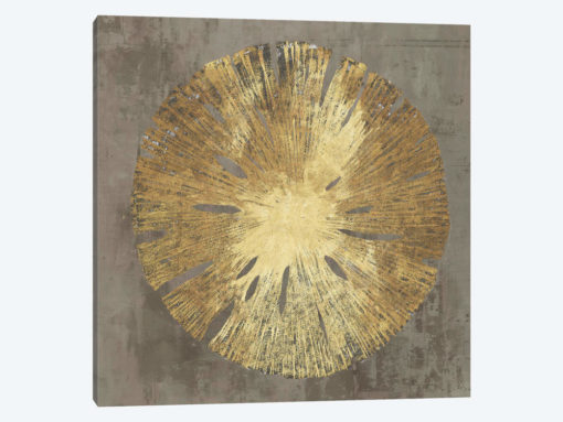 Sand Dollar II