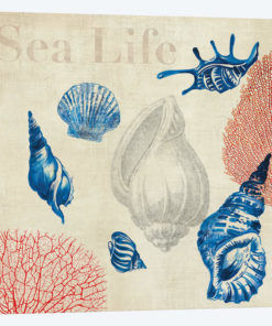 Sea Life Study