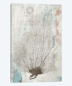Shabby Chic I