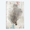 Shabby Chic II