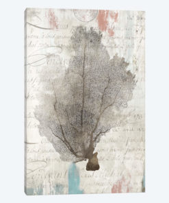 Shabby Chic II