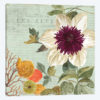 Shabby Chic III