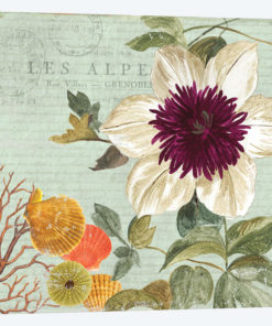 Shabby Chic III