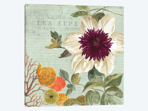 Shabby Chic III