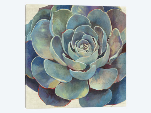 Succulence I