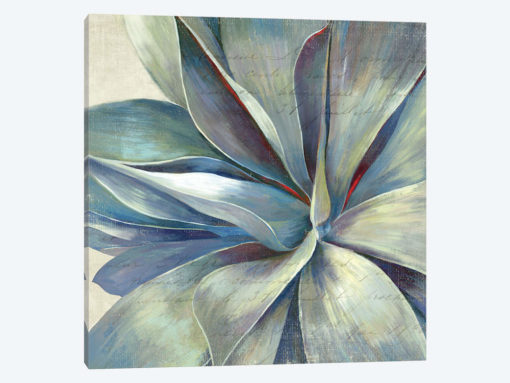 Succulence II