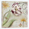 Tulipa I