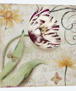 Tulipa I