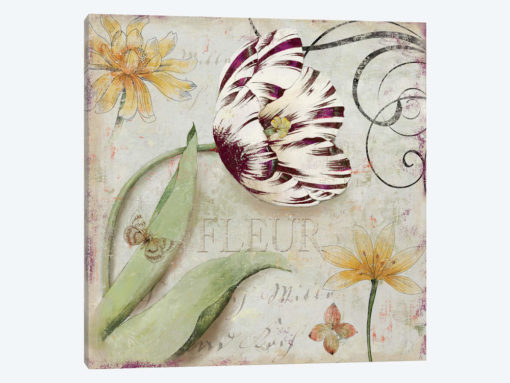 Tulipa I
