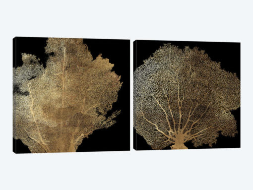 Honeycomb Coral Diptych