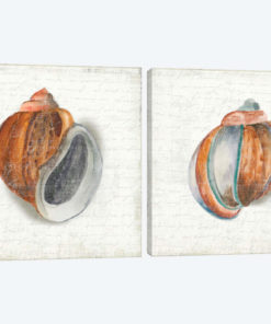 Seashell Portrait Diptych