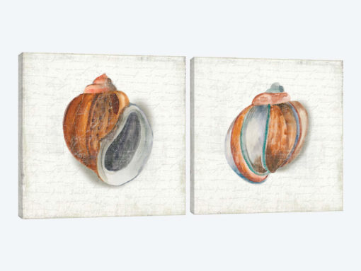 Seashell Portrait Diptych
