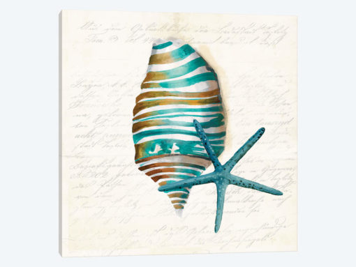 Blue Coral I