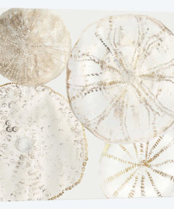 Sea Patterns II