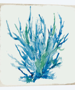 Blue Coral IV
