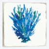 Blue Coral V