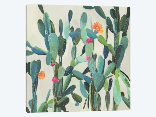 Cactus Garden