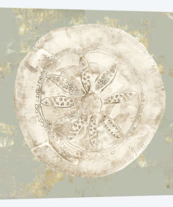 Cone Shells I