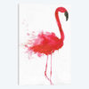 Flamingo Portrait II