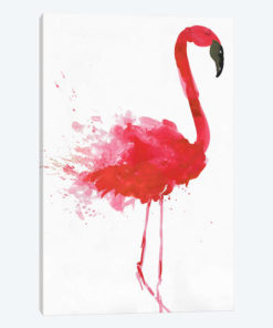 Flamingo Portrait II