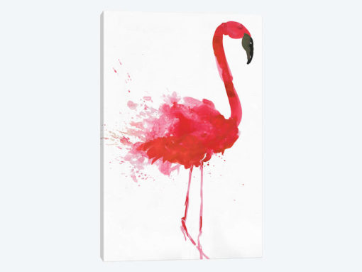 Flamingo Portrait II