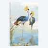 Heron Pairing